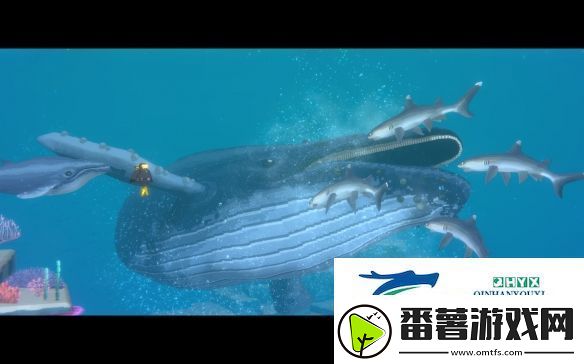 潜水员戴夫食谱推荐攻略：宠物进化与技能觉醒