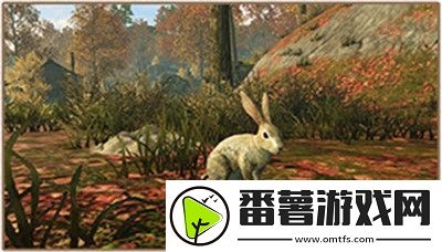 明日之后抓兔子怎么玩-抓兔子技巧攻略