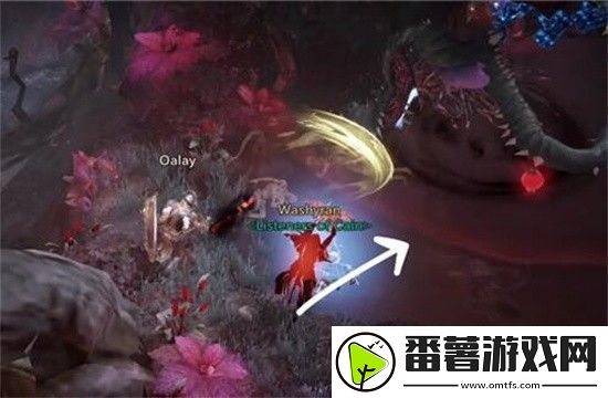 暗黑破坏神不朽黑蔷薇的打法是什么