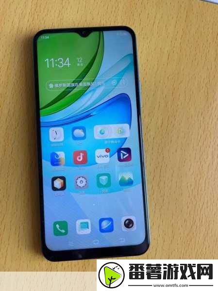 成色好的y31s标准版人民