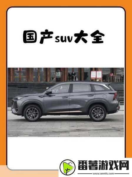 国产suv精品一区二区-1.-国产suv精品：为你打造舒适驾乘体验