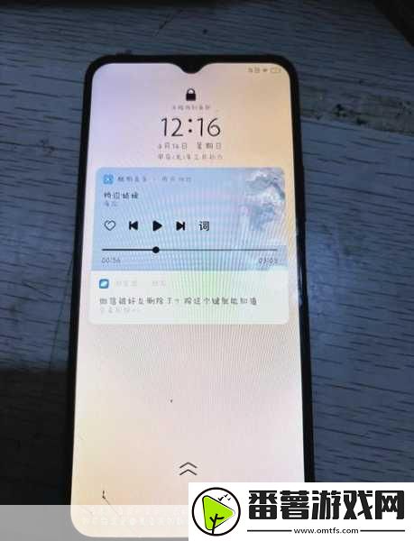 成色好的y31s标准版人民-1.-体验极致性能-成色优良的y31s标准版全解析