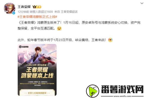 王者鸿蒙版正式上线