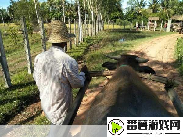 柬埔寨幼稚绿野仙踪www将迎来全民直播-1.-＂柬埔寨幼稚绿野仙踪-全民直播新体验