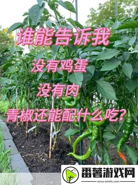 青椒影视2.6.5版本评测-1.-青椒影视2.6.5版本评测：全新体验-尽在掌握！