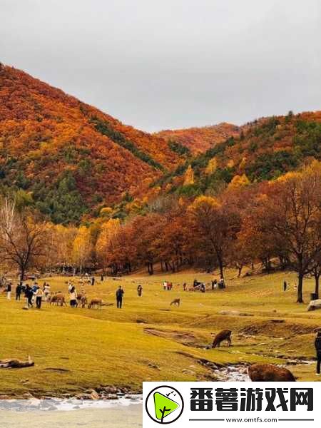 伊春园2023入口直达