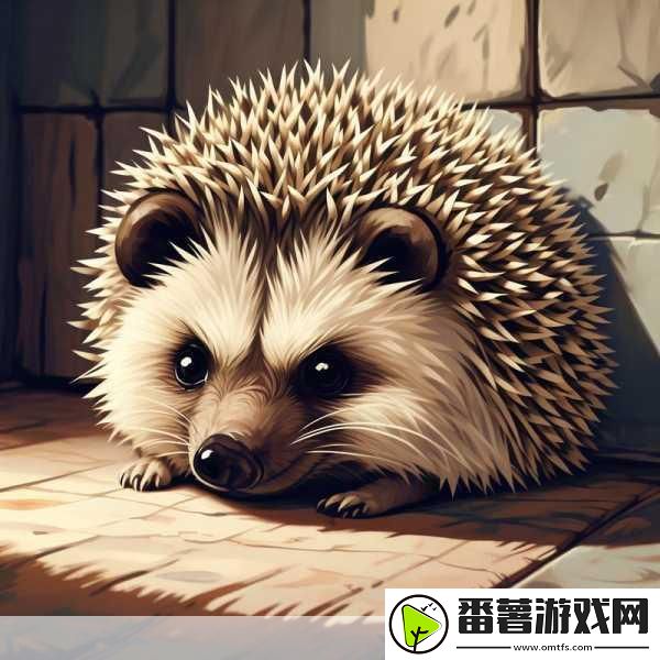 zoom动物合集verdeos