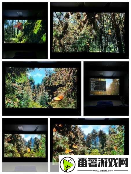 成都私人高清影院的市场前景