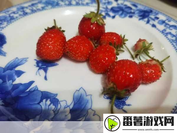 丝瓜草莓向日葵秋葵加油站
