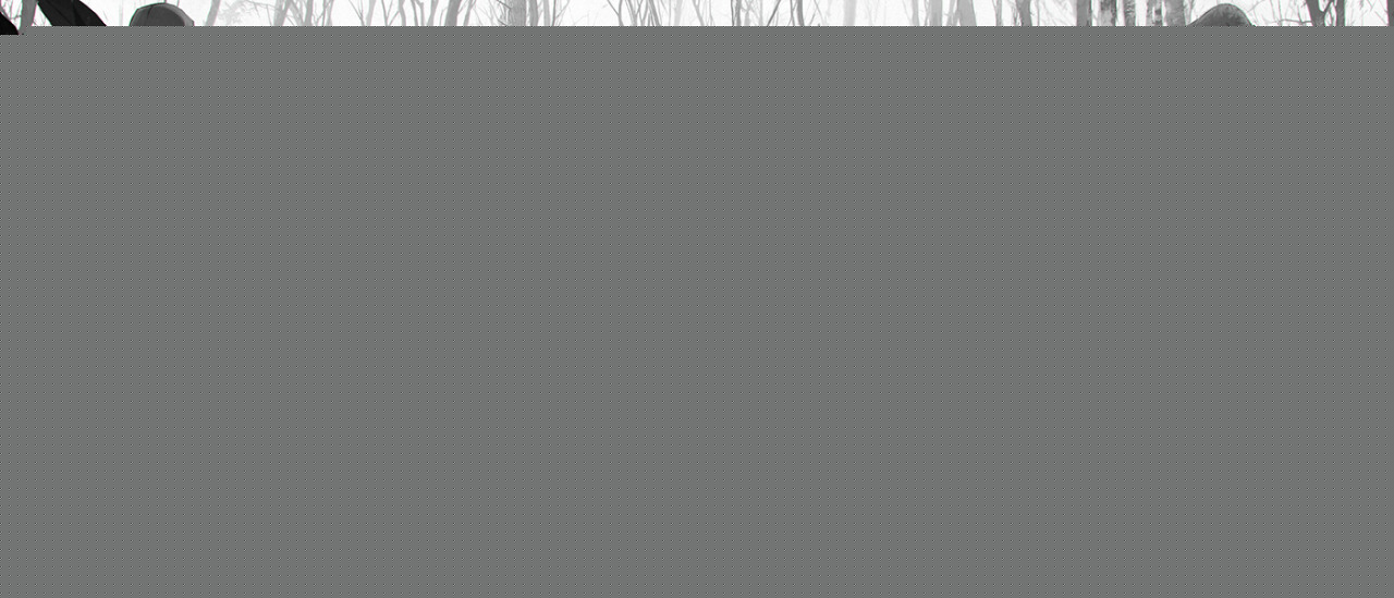 巫师3希里完美结局介绍