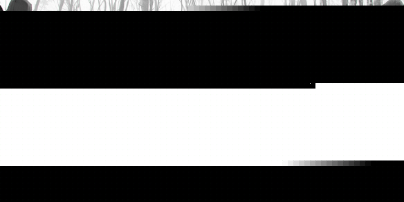 巫师3希里完美结局介绍