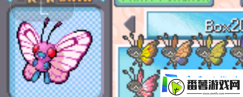 口袋妖怪无界孵蛋出小果然方法介绍