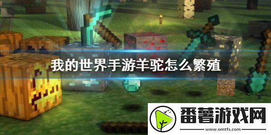 我的世界手游羊驼如何繁殖