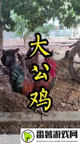 大侠立志传鸡环获取全攻略