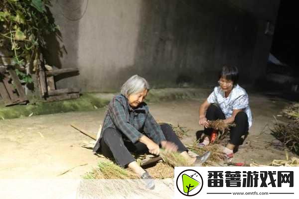 耕耘大婶的肥沃的土地