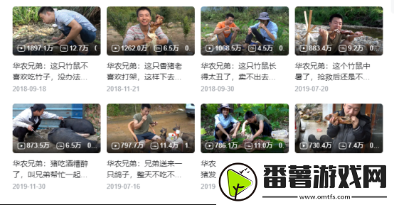 怎么四年过去了