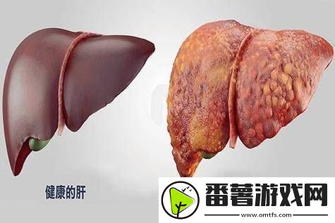 老公每天吃我小花园会伤肝吗