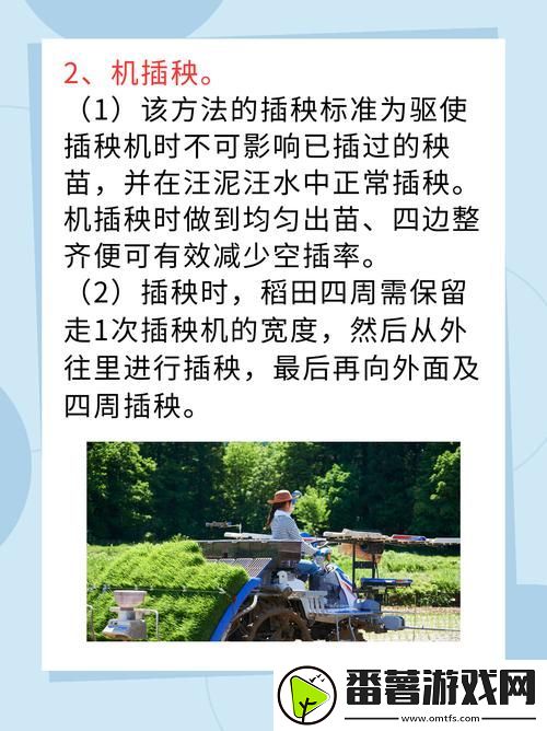 ,夫妻插秧38种方法图片大全,网友