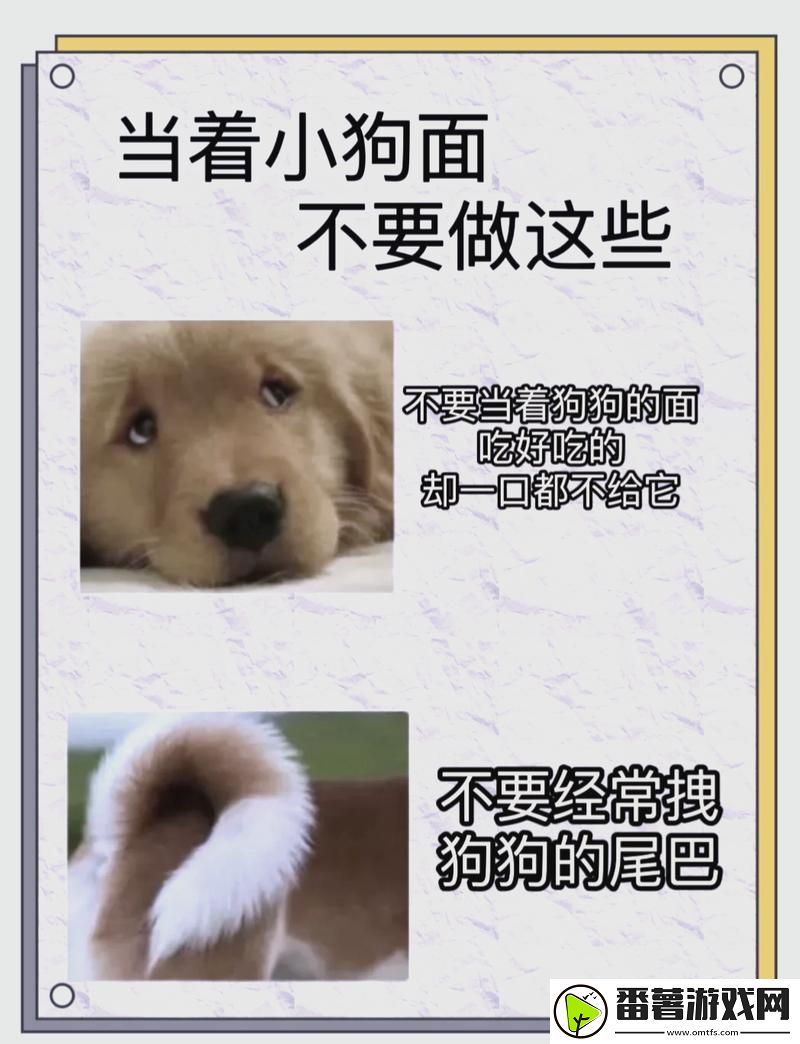 狗zoom和人类zoom哪个好,网友