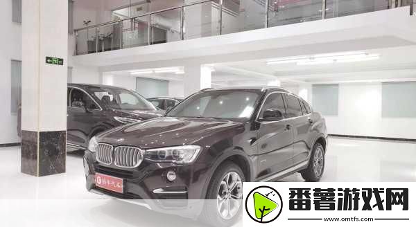 揭秘最强蜗牛锁眼侦察卫星