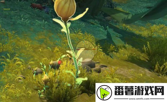 魔兽世界调味生活任务怎么做