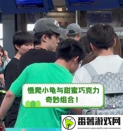 向日葵草莓丝瓜鸭脖：四种物品的奇妙组合