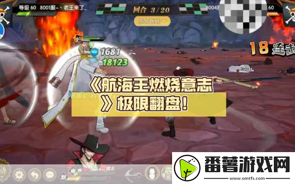 航海王燃烧意志