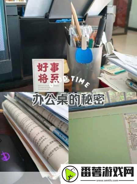 老板的办公桌中字