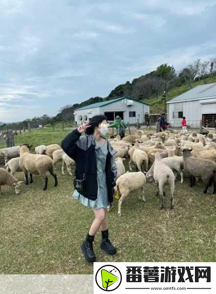 zoomservo兽狗牧场-1.-zoomservo兽狗牧场：打造快乐宠物乐园