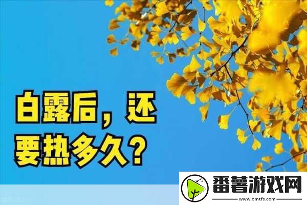 久久热在线观看