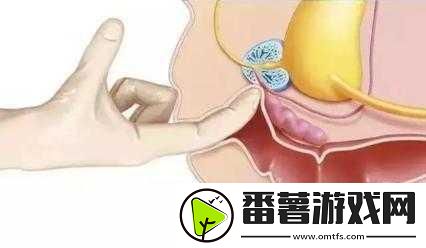 正确走后门的方法视频-1.-如何巧妙利用后门方法突破各种限制