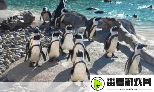 榨汁精灵的繁衍要求在想贪婪的繁衍要求揭秘