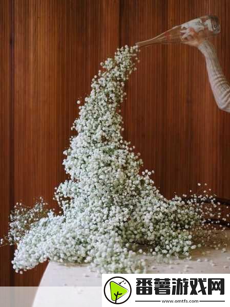 法国满天星酒店服务生