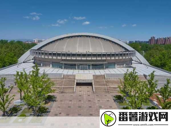 女婿有劲枪枪到底