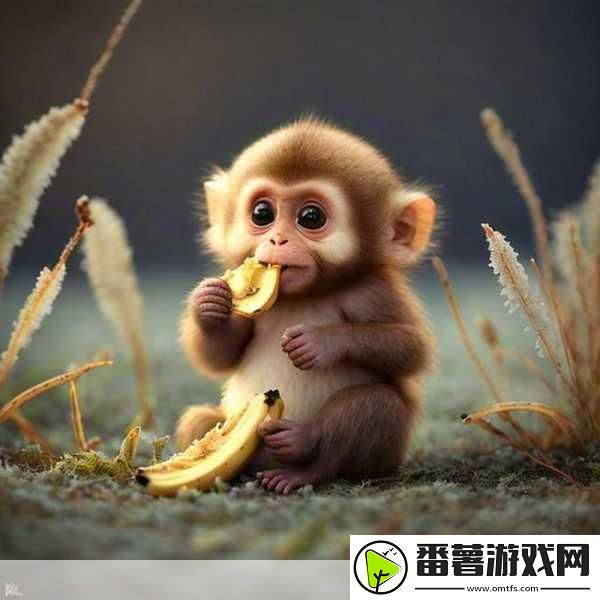 二人生猴子免费观看