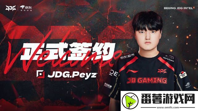 今年能走到哪❓jdg