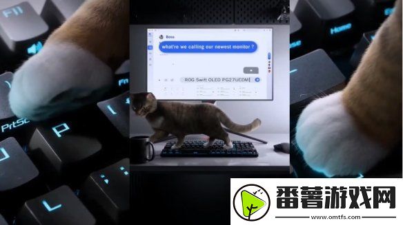 华硕rog的猫咪乱踩键盘-预言下一款产品将是27寸4koled