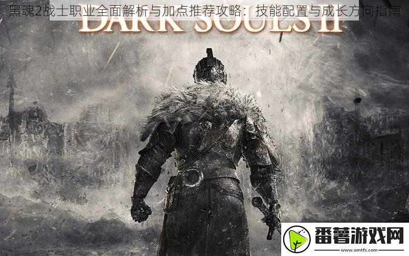 黑魂2战士职业全面解析与加点推荐攻略：技能配置与成长方向指南