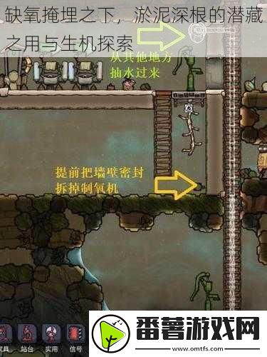 缺氧掩埋之下-淤泥深根的潜藏之用与生机探索