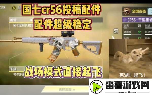 使命召唤手游asm10配件搭配全攻略