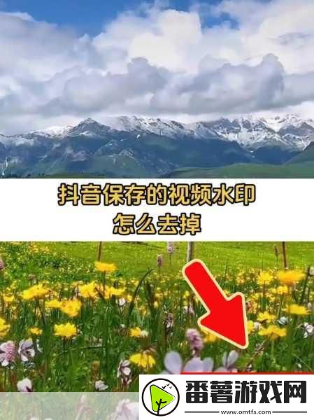 抖音保存的视频究竟藏在哪里