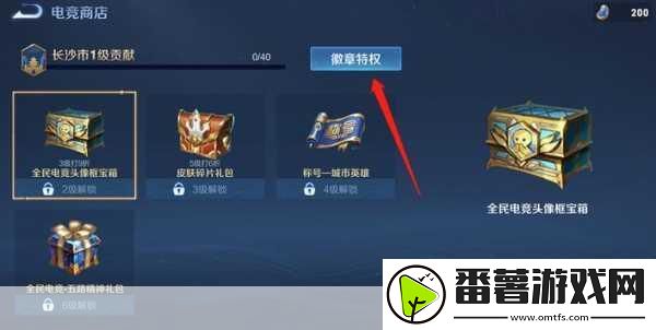 王者荣耀熊猫回城徽章获取全攻略