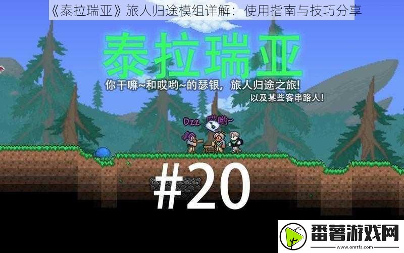 泰拉瑞亚旅人归途模组详解：使用指南与技巧分享