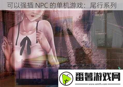 可以强插npc的单机游戏