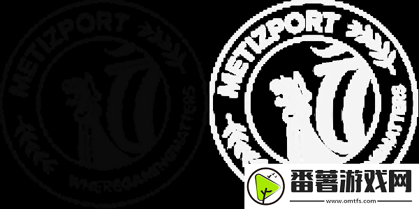 metizport公开招募青训队教练