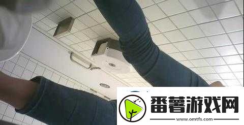 六月大神厕拍之隐秘视角下的别样场景揭秘