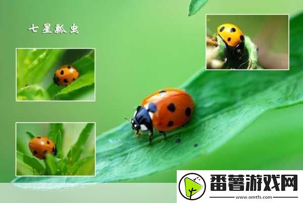 微观世界奇遇-血块变厚中文版生存冒险之旅