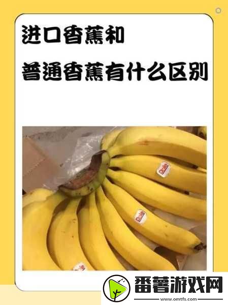 国产香蕉和进口香蕉的价格比较
