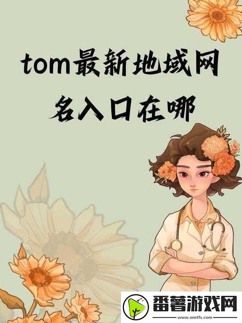 tom-永久地域名之相关内容详细介绍与分析