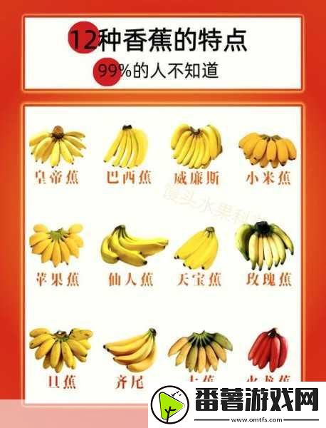 国产香蕉和进口香蕉的价格比较：国产香蕉与进口香蕉价格对比分析及市场影响探讨